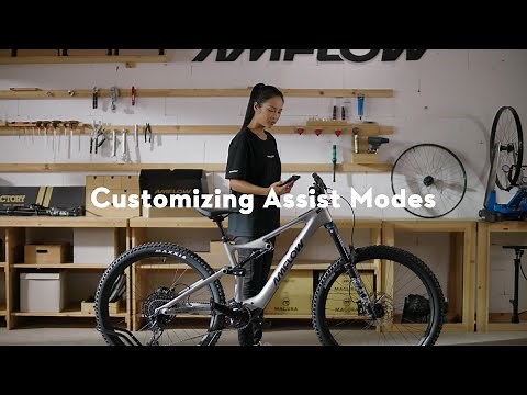 Amflow PL｜Customizing Assist Modes