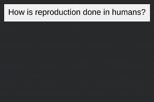 How is reproduction done in human?... | Filo