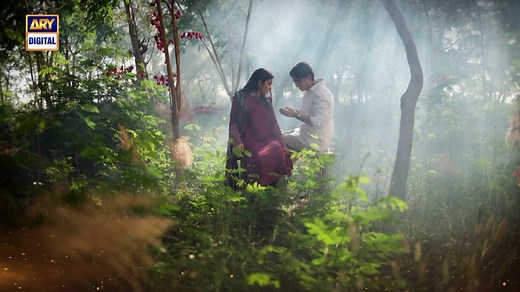 Parwarish EP - 11