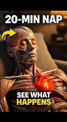 What Happens to Your Body If You Take a 20-Minute Nap Every Day”