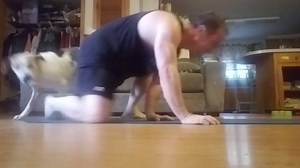 36K views · 493 reactions | Working out with a dog can be ruff. Credit: Sean Degnan | Imgur | Facebook