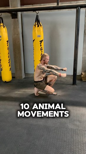 Willy on Instagram: "10 animalistic movements to shake up your warm up and get you loose(y goosey) 1. Duck 🦆 2. Flamingo 🦩 3. Kangaroo 🦘 4. Gorilla 🦍 5. Bear 🐻 6. Elephant 🐘 7. Bunny 🐰 8. Crab 🦀 9. Lizard 🦎 10. Caterpillar 🐛 Bonus: 11. Worm 🪱 (Demonstrated by Kim, cause I looked like I just fell out of a wheelchair tryin it) Bonus question for old people: Who performed ‘the woooooorrmmm’ in wrestling? ➖➖➖➖➖➖ 