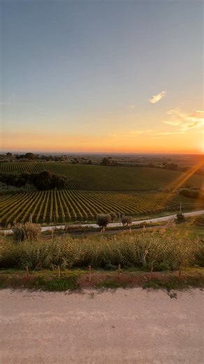 Jennifer Hale on Reels