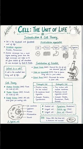 cell and cell theory #biology #bio #cell #science #educationalvideo #biologyclass #selfeducate