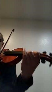 Bach: Concerto for a Two Violins in D minor, BWV 1043