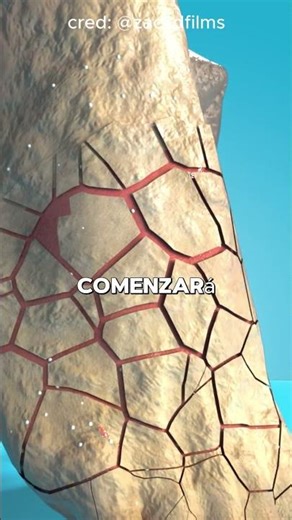 How to Grow Foot Fungus 🤔