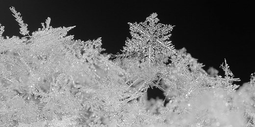 Why all snowflakes have six sides