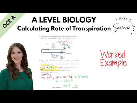 A Level Biology Calculating the Rate of Transpiration