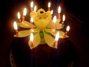 Happy Birthday to Me! Surprise Sparkler Flower Candle!!
