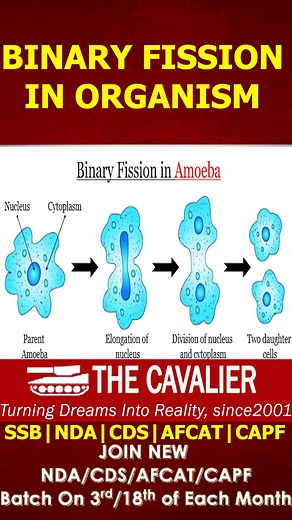Binary Fission in Organism Binary Fission in Organism Binary fission,...