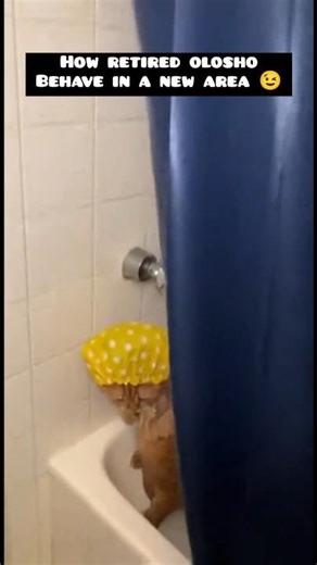 WHY NOW? #funny #shortvideo #fyp