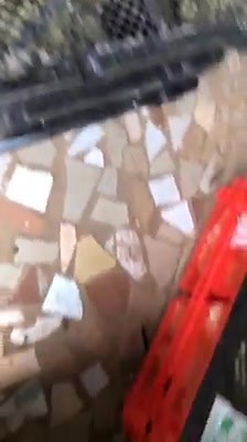 Poussins disponibles Mon watsapp :https://Wa.me/ 22606658077 pintadeau galor blanc 50000f gris 40000f ** Poussins Locaux : 20.000f CFA ** Poussins Locaux Améliorés : 22.500f CFA ** Poussins Goliath : 30.000f CFA ** Poussins Coquelets : 11000f CFA ** Poussins Bleus Hollande : 22.000f CFA ** Poussins Chairs Cobb 500 : 35000f CFA ** Poussins Ponte Isa Brown 37000f CFA ** Poussin kuroiller 35000CFA ** Poussin sasso 34000CFA ** Poussin noiler 30000CFA ** Dindonneaux Métissés: 2.000f CFA l'unité ** Di