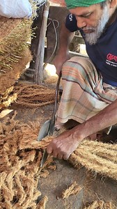 101K views · 175 reactions | "Technique to Cut Coconut Fiber" | Sadi Agro | Facebook