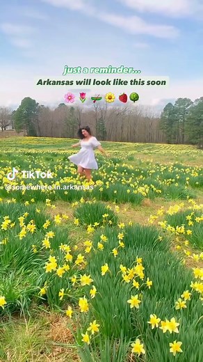 Top Spring Activities in Arkansas You Can't Miss