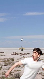 How To Survive A Raptor Attack #extinctanimals #dinosaur #prehistoriclife #evolution #prehistoric