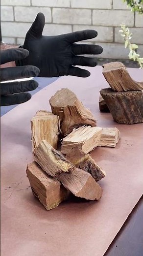 Choosing Wood Chunks for Smoking! 🔥🪵 #shorts