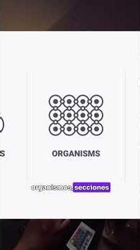 Organiza tu frontend con Atomic Design #andercdev #developer