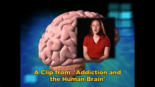 Addiction and the Human Brain