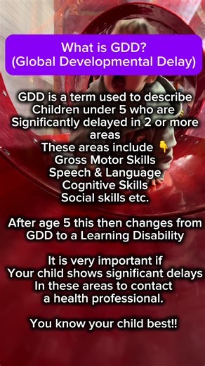 What is GDD? I had never heard of it before December 2024..#globaldevelopmentdelay #ftp #milestone #speechdelay #cognitive