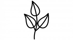 Animated linear black plant with leaves. Icon of tree sprout. Symbol is drawn gradually. Concept of organic food, ecology, agronomy, harvest. Vector illustration isolated on white background.