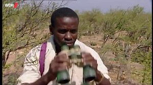 planet schule: Sokotra: Auf den Spuren der Evolution