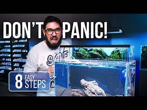 How To Start Your Aquarium In 8 EASY Steps | Technical Guide with Tommy