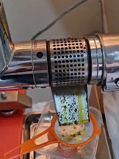 Understanding Cold-Pressed Castor Oil Extraction Methods