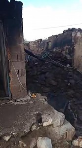 Eşref Şekerli on Reels
