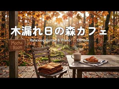 途中広告なし【カフェBGM】木漏れ日の森カフェ｜静かな朝に寄り添う音楽｜作業用・読書・リラックス｜Cafe Music・Relaxing Guitar & Piano 120min