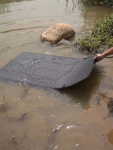 Waterproof. Reliable. Built for the Outdoors. 💧 Watch our flexible solar panel undergo real IP67 waterproof testing — fully submerged, fully functional. ✅ Dustproof & waterproof (IP67) ✅ Lightweight & flexible design ✅ Factory direct with OEM/ODM support 📦 Custom solutions available — Built to power your brand, rain or shine. #SolarPower #CleanEnergy #Sustainability #Innovation #GreenFuture #ThePowerExpert #PowerYourNextAdventure #Solar #SolarEnergy #SolarPanel #OffGridPower #CampingGear #4WDA