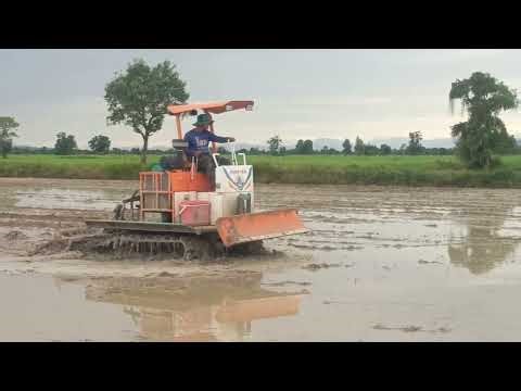 Modern Machine Plowing Rice Fields 🚜 | Hard Farming Work in Action