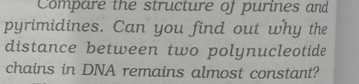 Compare the structure of purines and pyrimidines. Can you find ... | Filo