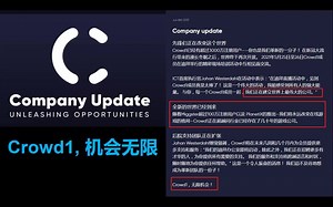 Crowd1商机无限-灵儿