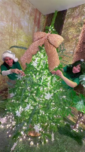 La Navidad en The Mansion con Nutrioli