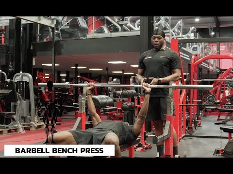 Exercise Tutorial - Barbell Bench Press