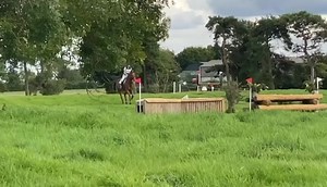 12K views · 295 reactions | Do you ever wonder what the best XC...