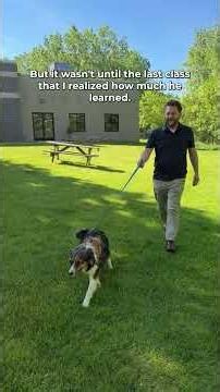Dog Training Classes begin July 21st!