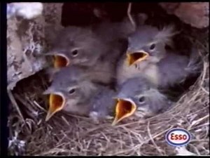 LA CINQ pub_esso_juin91.avi