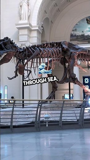 The Intrepid Museum: Sea, Air & Space #IntrepidMuseum #NYC #History #HandsOnLearning #NYCTourism