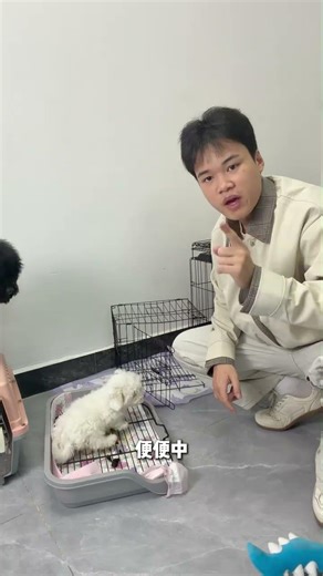 Dog Ownership Made Easy: A Beginner's Guide for New Pet Parents