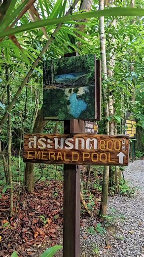 น้ำใส ไหลเย็น เห็นตัวปลา 🐟💧👨 #ใช้ชีวิตให้มีความสุข #บันทึกการเดินทาง #ผมออกมาเสพ #บันทึกสีเขียว #zZNiGhTZz