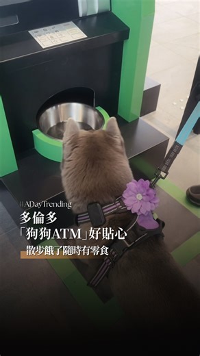 153K views · 2K reactions | 加拿大多倫多的 TD Bank，為了毛孩們貼心設計了「狗狗ATM」，只要將肉墊靠上爪子狀的感應墊，狗零食就會叮叮咚咚落下來，散步餓了隨時能吃點心。 這是和「多倫多人道協會」合作的公益項目，除了長年支持動物權益外，也希望能讓銀行體驗變得更有趣，帶狗狗來領錢，保證大人毛孩都開心！ | A Day Magazine 時尚生活雜誌 | Facebook