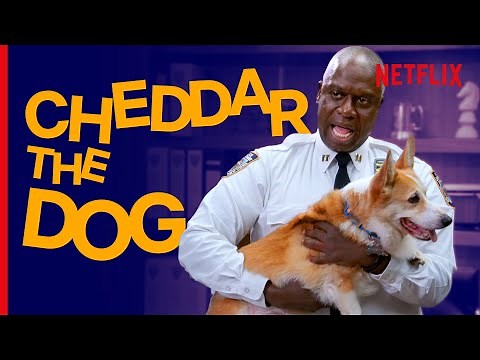 Cheddar's Best/Fluffiest Moments! | Brooklyn Nine-Nine