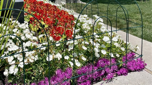 Walmart selling $5.84 fence panels to help rejuvenate your garden