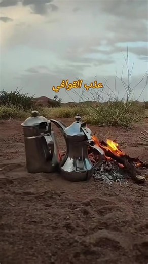 قصايد عذب القوافي خواطر شعرية جميلة للاستماع والقراءة