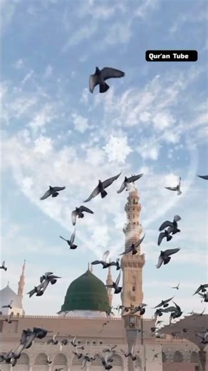 New Heart Touching Naat Mustafa Mustafa #emotionalnaat #islamicmusic #newislamicstatus