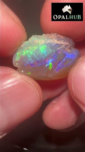 Lightning Ridge Fossilised Crystal Shells