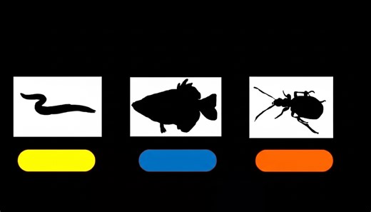 This elemental strategy quietly controls the entire meta