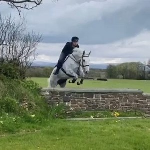 17K views · 869 reactions | HUNTED IN IRELAND, NOW IN UK - ALLROUNDER...