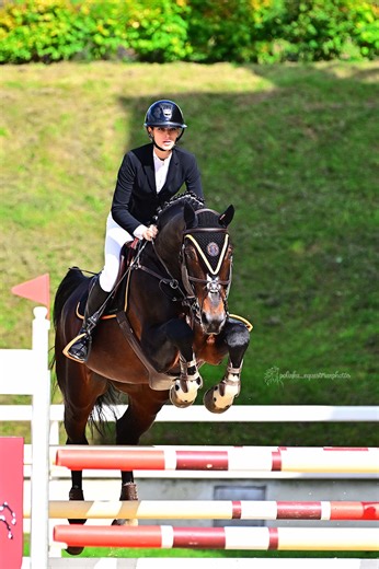 Equestrian Show Jumping Tips for Beginners